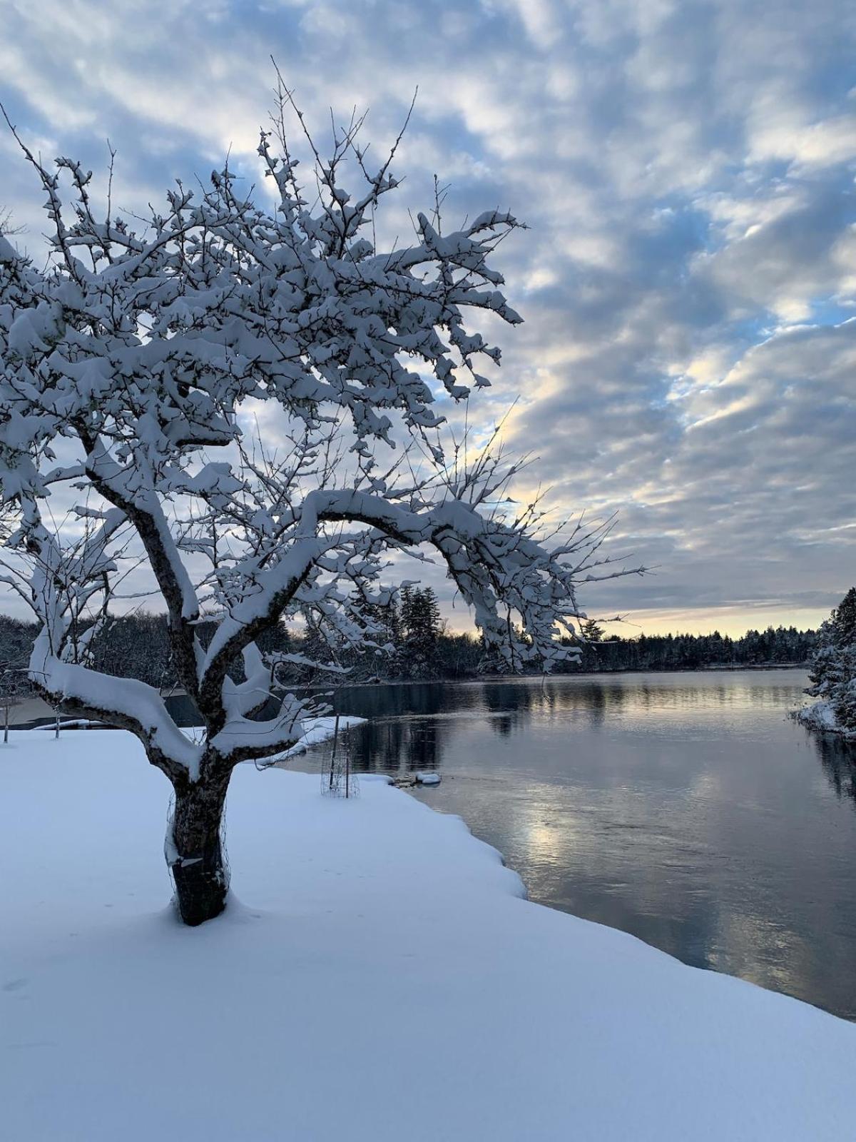 Вилла The Refuge At The Lake And River East Kemptville Экстерьер фото